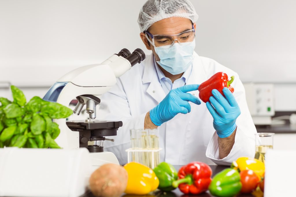 Highfield Level 2 International Award In Food Safety